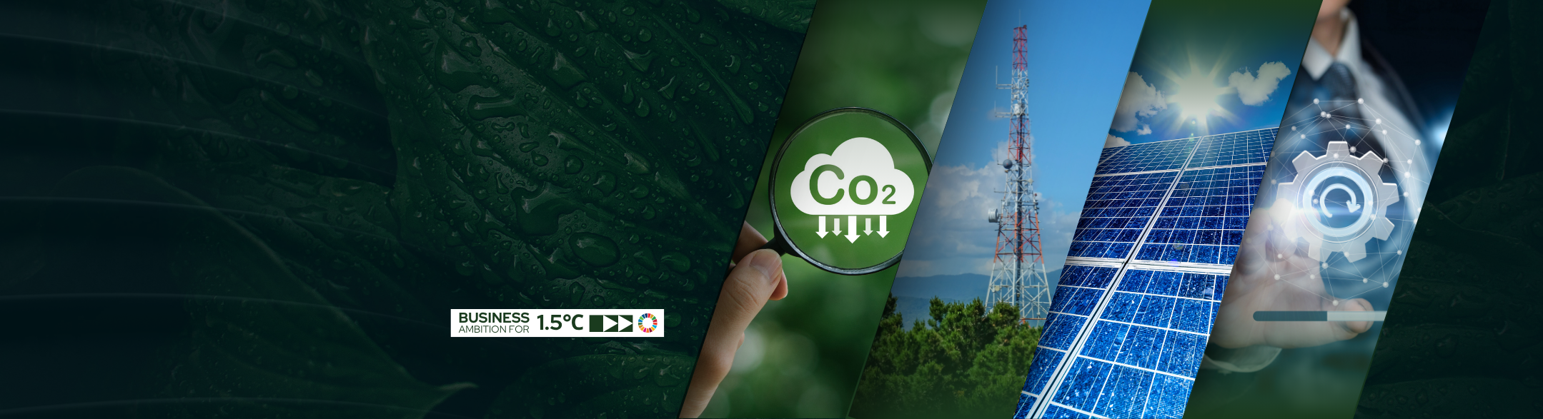 Banner_new_-Comba-SBTi-Certification